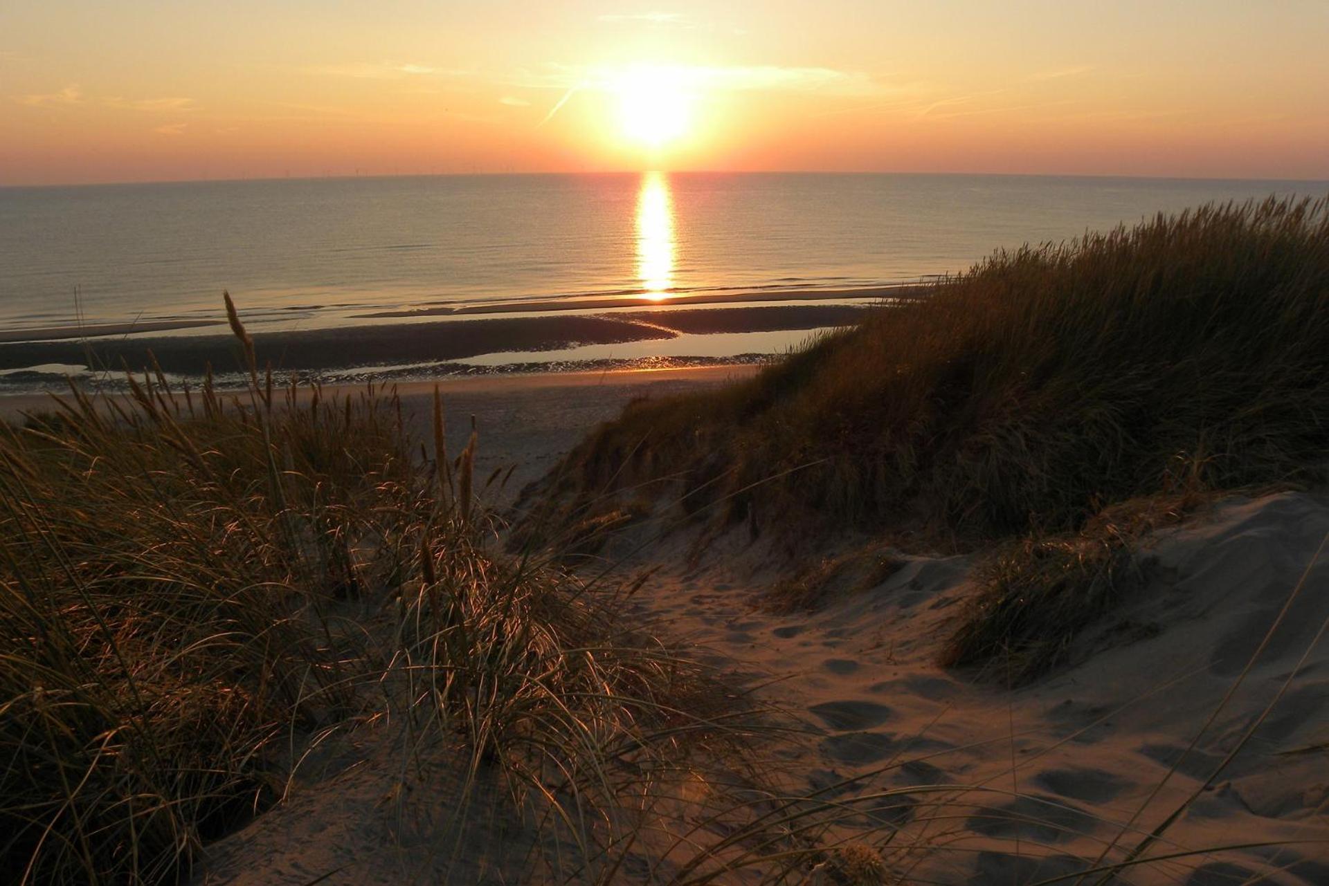 Ferienwohnung Ammophila 2 Egmond aan Zee Exterior foto